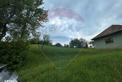 Teren de 2000 mp, în Copalnic - 8