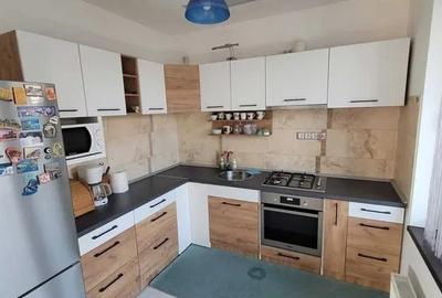 Vilă de închiriat P +1 cu 5 camere, zona Lazu - 2