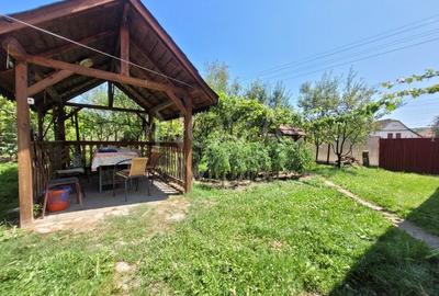 Casa individuala 1534 mp. teren - Sat Ravasel - 7