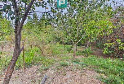 Casă modestă cu 3 camere în Aradul Nou - 13