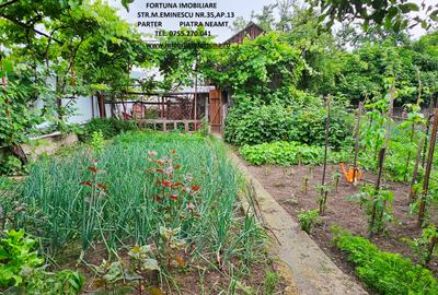 Proprietate in intravilanul mun.Piatra Neamt, zona Cindia - 16