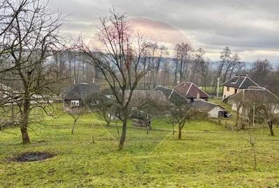 Casă cu 5 camere cu Teren 6328 Mp în Giulești - 1