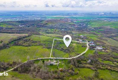 Teren de 33500 mp, în Bucov - 13