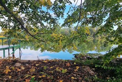 Teren 586mp Casa tip Duplex 6 camere de vanzare in Mogosoaia Str Martha Bibescu 20A acces la lac - 9