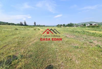 Teren Construcții intravilan de 7500 mp, în Câmpina - 8
