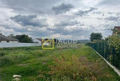 Teren intravilan Lilieci, Hemeius, Bacau - 14