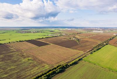 Teren de 200000 mp in Arad - 1