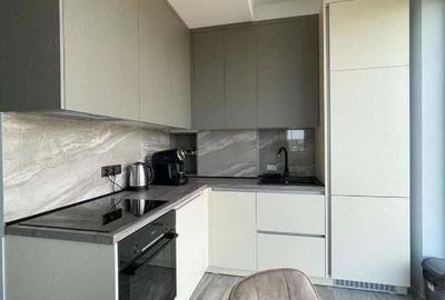 Oferim spre inchiriere apartament o camera zona Theodor Pallady - 2