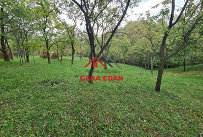 Teren intravilan in Sotrile--5991mp--10e Teren intravilan in Sotrile--5991mp--10e - 7