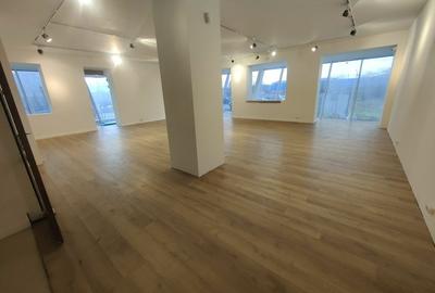 ION MIHALACHE - Piata Chibrit inchiriere/vanzare spatiu show-room 1150 mp - 3