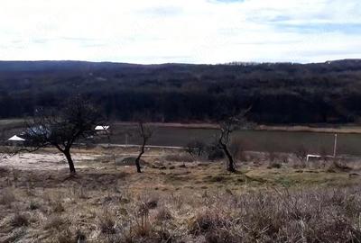 Teren de 2700 mp, în Curtești - 5