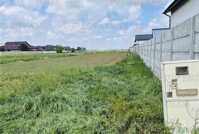 Teren intravilan 1.7 ha Dragomiresti Vale-Zurbaua, deschidere 34m la strada asfa - 3