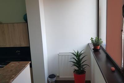 Soseaua Alexandriei, intre rond Luca si Leroy Merlin pe strada Oituz - 4