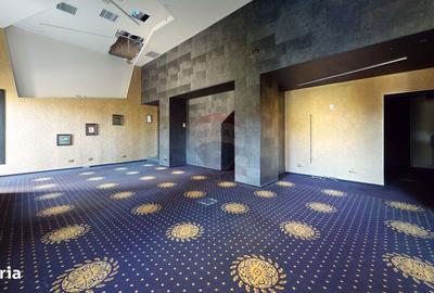 Spațiu comercial, de 340 mp, în Centrul Istoric - 5