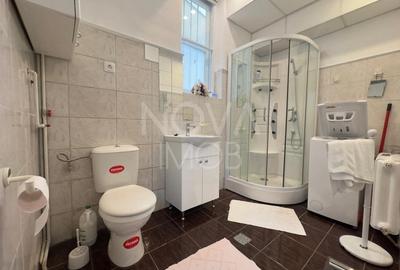 Apartament 2 camere, la vila, - Constantin Noica, Sibiu - 12