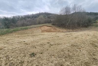 Spațiu comercial, în Sibiel - 2