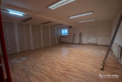 Hale multifunctionale str. Aurel Vlaicu - 7