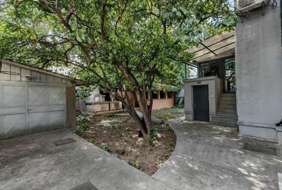 Vilă interbelică – Casin / Domenii – ideală clinica/ resedinta/ sediu / ambasada - 5