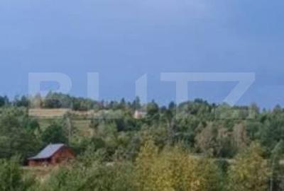 Teren de 4265 mp, în Căpușu Mare - 2