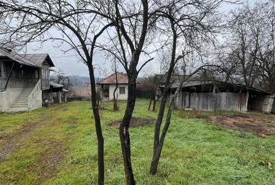 Casa batraneasca de vanzare - 3