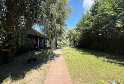 Casă individuală cu 6 camere cu Canalizare în Crișan - 10