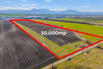 Teren 50.000 mp in Prejmer in spatele parcului industrial - 4
