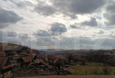 Casa veche cu teren generos de 5.300 mp - oportunitate de investitie in Baciu - 4