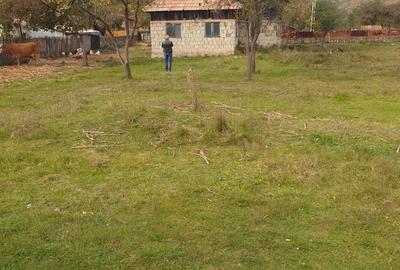 Casă cu 2 camere în Balotești - 5