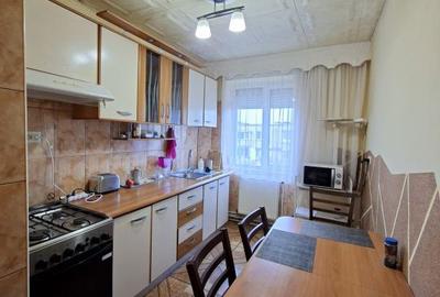 Apartament cu 2 camere semidecomandat în Săsar - 8