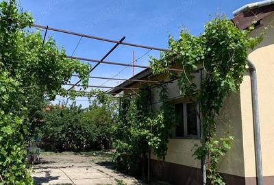 Casă cu 3 camere cu Teren 500 Mp în Buziașului - 9