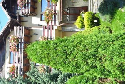 Casă cu 6 camere cu Teren 580 Mp în Valea Alba - 9