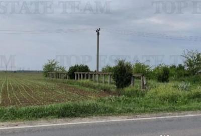 Teren de 7500 mp, în Cazasu