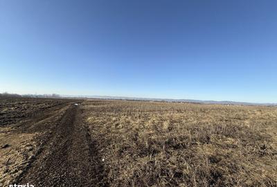 Spațiu comercial, în Central - 2