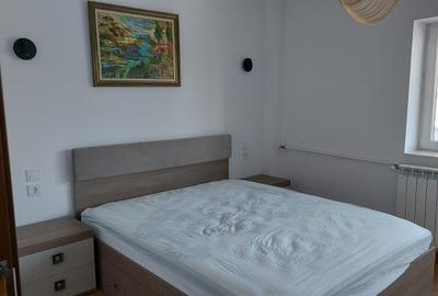 Apartament cu 2 camere decomandat, mobilat în Drumul Sării - 1