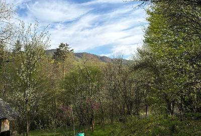 Teren de 1013 mp, în Cisnădioara - 4