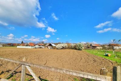 Vand Casa 3 camere 2000mp2 curte - 4