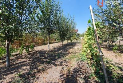 COMISION 0% Casa individuala cu 5 camere si teren de 1222 mp, Jebel COMISION 0% Casa individuala cu 5 camere si teren de 1222 mp, Jebel - 54