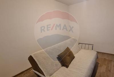 Apartament cu 1 camere semidecomandat, mobilat în Pantelimon - 10