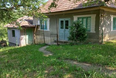 Casa cu doua camere - 2