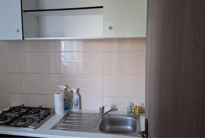 Garsonieră în Brazda lui Novac - 3