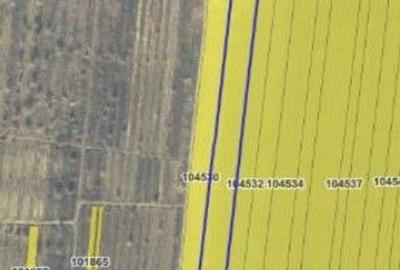 Teren de 13800 mp, în Smârdan - 6