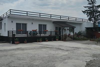 Spațiu comercial, de 420 mp, în Mintia - 2