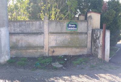 Teren în Cornetu - 13