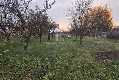 Teren Intravilan 1,2 Hectare cu Cert Urbanism,Sat Tisieu,Com. Ibanesti - 1