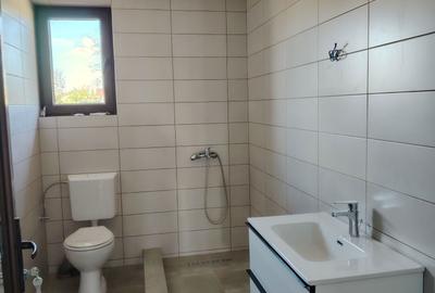 Casă cu 4 camere în Odaia Manolache - 8