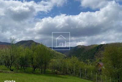 Spațiu comercial, în Sadu - 4