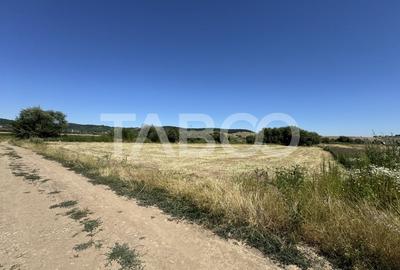 Teren intravilan 3752 mp parcelabil zona fostelor sere Cristian Sibiu - 2