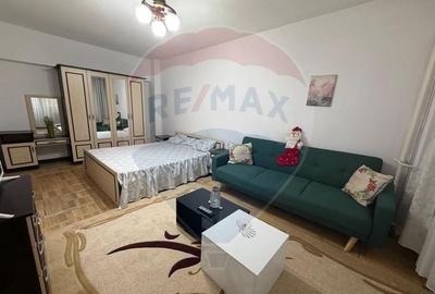 Apartament cu 1 camere semidecomandat, mobilat în Calea București - 2