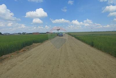 Teren intravilan de 6600 mp, în Dumbrăveni - 13