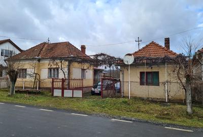 Casă individuală cu 4 camere cu Teren 2035 Mp în Panc-Săliște - 1